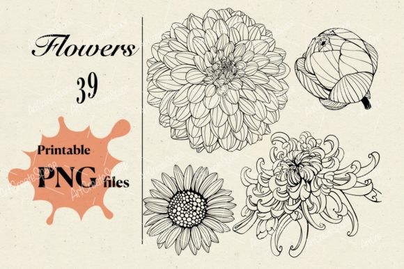 Hand Drawn Flowers PNG Images: A Creative Resource for Digital Designers