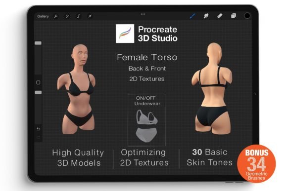Integrating the Procreate 3D Model - Torso Female into Your Digital Art Workflow